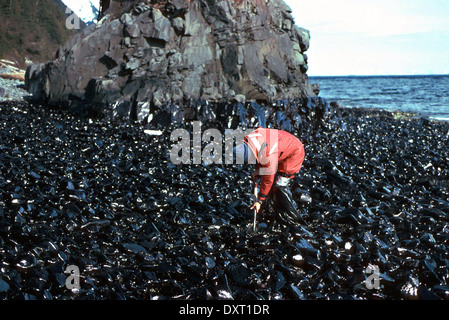 Un lavoratore pulisce fino a fortemente oliato area sul punto Helen durante operazioni di pulitura del disco dalla Exxon Valdez oil spill Aprile 9, 1989 in Prince William Sound, Alaska. La Exxon Valdez versato almeno 11 milioni di galloni di petrolio greggio nelle acque incontaminate di Prince William Sound il 23 marzo 1989. Foto Stock