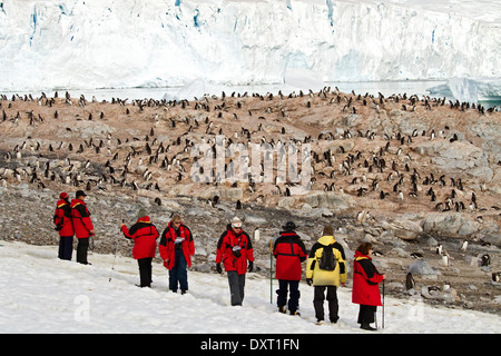 Turismo antartico,i turisti e i pinguini tra l'antartide paesaggio di ghiaccio e neve. Foto Stock