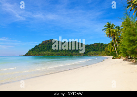 Incontaminata spiaggia tropicale in Sri Lanka Foto Stock