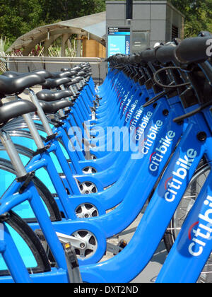 (FILE) - Un archivio foto, datata 20 agosto 2014, mostra le biciclette in affitto di agenzia di noleggio Citibike in piedi il portabiciclette vicino a Battery Park in Manhattan, New York, Stati Uniti d'America. Foto: Alexandra Schuler Foto Stock