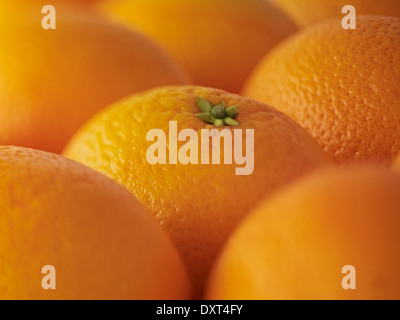 Extreme close up di arance Foto Stock