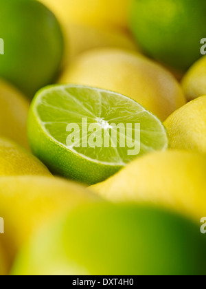 Extreme close up di fettine di lime fra limoni Foto Stock