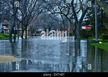 Deep acqua di inondazione in zona residenziale. Des Plains, IL, Stati Uniti d'America. Città sotto il fiume acqua di inondazione. Disastri natura raccolta di fotografie Foto Stock
