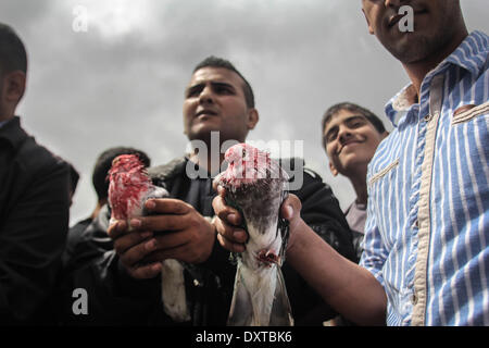 NAHAL OZ, GAZA, Palestina-marzo 30 : un gruppo di palestinesi ha organizzato manifestazioni di protesta in prossimità del confine orientale di Gaza il 30 marzo 2014. Le manifestazioni annuali di contrassegnare la morte di sei dimostranti palestinesi per mano delle truppe israeliane durante le proteste di massa nel 1976 contro i piani per confiscare terre palestinesi. (Foto di Asad Alsaftawi / Pacific Stampa) Foto Stock