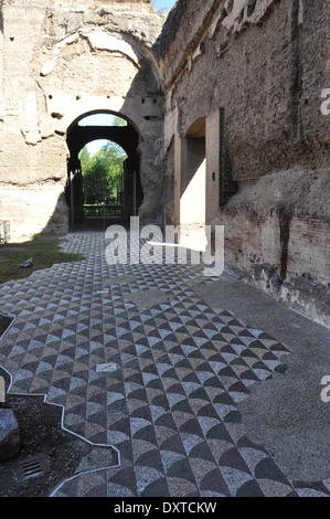 Una vista del pavimento a mosaico delle Terme di Caracalla, le Terme di Caracalla, Roma Foto Stock