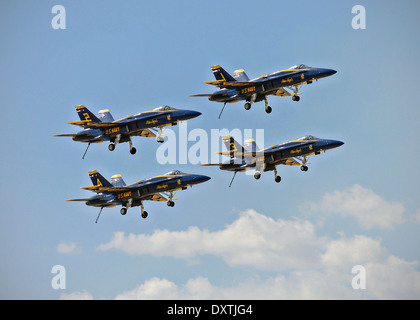 US Navy dimostrazione di volo squadrone, Blue Angels, eseguire la doppia Farvel durante il Los Angeles County Airshow di Marzo 22, 2014 in Lancaster, CA. Foto Stock