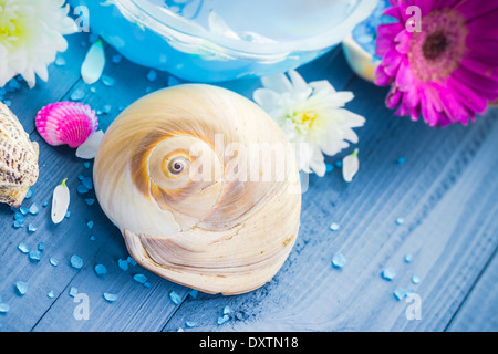 Elementi di trattamenti spa su una tavola di legno Foto Stock