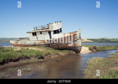 Barca abbandonata, Point Reyes National Seashore, CALIFORNIA, STATI UNITI D'AMERICA Foto Stock