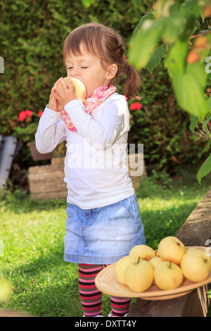 Bambina raccogliendo mele in giardino Foto Stock