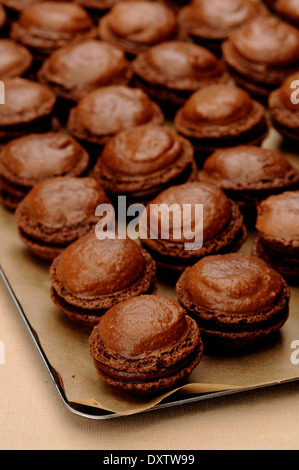 Amaretti al cioccolato su un vassoio da forno Foto Stock