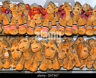 Cammelli souvenir di peluche Abu Dhabi international airport Foto Stock