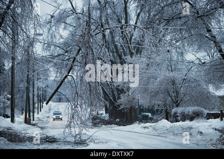 Danni da Dicembre 21, 2013 tempesta di ghiaccio su King Street; Georgetown, Ontario, Canada Foto Stock