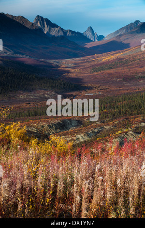 Oggetto contrassegnato per la rimozione definitiva Pass e la valle superiore del nord fiume Klondike in autunno, Lapide parco territoriale, Yukon Territori, Canada Foto Stock
