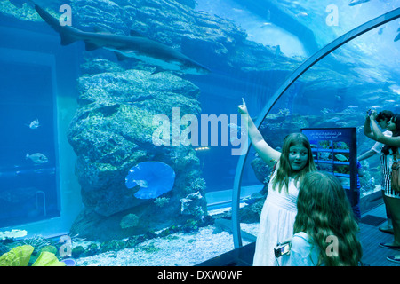 I bambini guardando uno squalo, il centro commerciale di Dubai Aquarium e lo Zoo di subacquea, Dubai, Emirati Arabi Uniti, Emirati Arabi Uniti Foto Stock