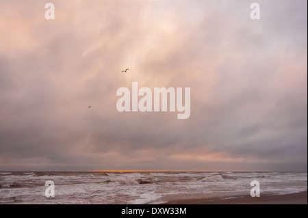 Il bagliore arancione di sunrise luci posteriore nuvole temporalesche sull Oceano Atlantico in questo litorale vista di Jacksonville Beach, FL. Foto Stock