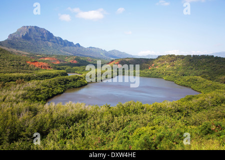 Laghetto di pesci Menehune su Kauai nelle isole hawaiane Foto Stock