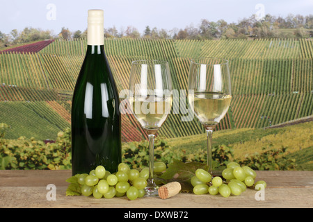 Nuovo e fresco vino bianco in bottiglia e bicchieri nei vigneti Foto Stock