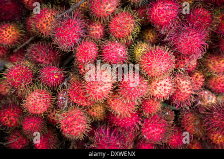 Rambutan frutti per la vendita su un mercato in stallo, Indonesia, Asia (Nephelium lappaceum) Foto Stock