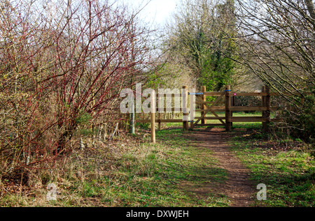 Un bacio gate sulla tomaia Wensum modo distanza lungo il percorso a Pockthorpe, Norfolk, Inghilterra, Regno Unito. Foto Stock