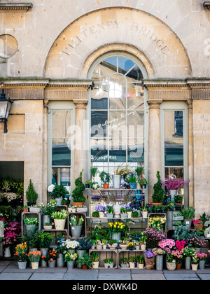 Vista di un tradizionale negozio di fiori sulla Pulteney Bridge nella bellissima città georgiana di Bath nel Somerset, Inghilterra, Regno Unito. Foto Stock