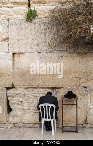 Ultra-ebreo ortodosso pregando presso il Muro Occidentale, il Muro del Pianto, vista posteriore, Gerusalemme, Israele Foto Stock