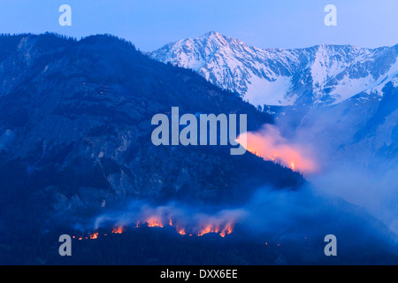 Forest Fire su Mt Hochmahdkopf, Tirolo, Austria Foto Stock