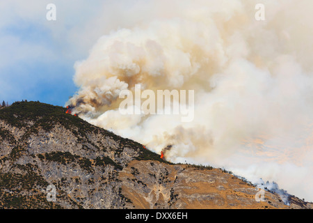 Forest Fire su Mt Hochmahdkopf, Tirolo, Austria Foto Stock