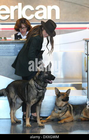 Nikki Reed Nikki Reed e il marito Paolo McDonald insieme con i loro pastori tedeschi Enzo e Mario arriva con Ciroc Ride sicuro a Los Angeles International Airport per prendere un volo a Nashville Los Angeles California- 10.12.12 con: Nikki ri Foto Stock