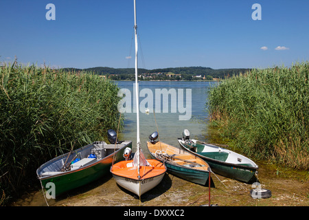 In Germania, il lago di Costanza, Reichenau Islanda, shore, barche, Deutschland, Bodensee, isola di Reichenau, Ufer, Boote Foto Stock