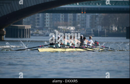 Putney, Londra. 1 Aprile, 2014. Cambridge Blue barca sul Tamigi Tideway durante la settimana. Tidey è la parte finale del costruire verso il centosessantesimo in funzione dell'Università Boat Race il 6 aprile 2014. Credito: Azione Sport Plus/Alamy Live News Foto Stock