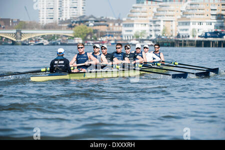 Putney, Londra. 1 Aprile, 2014. La Oxford Blue boat in azione sul Tamigi Tideway durante la settimana. Tideway è la parte finale del costruire verso il centosessantesimo in funzione dell'Università Boat Race il 6 aprile 2014. Il 2014 Boat Race è sponsorizzato BNY Mellon . Credito: Azione Sport Plus/Alamy Live News Foto Stock