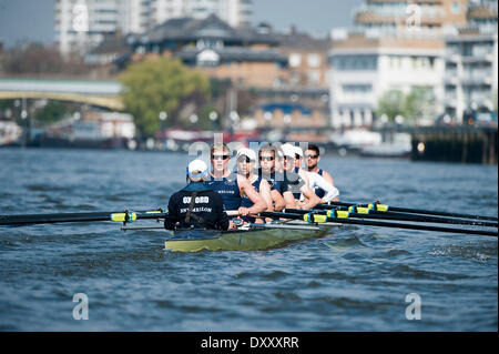 Putney, Londra. 1 Aprile, 2014. La Oxford Blue boat in azione sul Tamigi Tideway durante la settimana. Tideway è la parte finale del costruire verso il centosessantesimo in funzione dell'Università Boat Race il 6 aprile 2014. Il 2014 Boat Race è sponsorizzato BNY Mellon . Credito: Azione Sport Plus/Alamy Live News Foto Stock