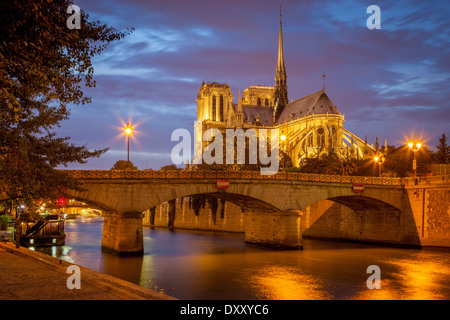 Twilight sulla Cattedrale di Notre Dame lungo il Fiume Senna, Parigi, Ile-de-France, Francia Foto Stock