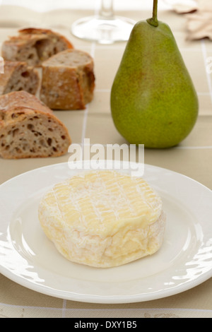 Formaggio Saint-Marcellin Foto Stock