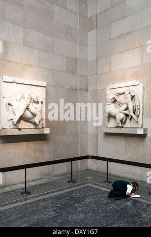 Uno studente di design il Greco antico marmo le metope del Partenone al British Museum di Londra Foto Stock