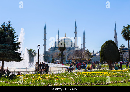 La Moschea Blu (Sultanahmet Camii) da Sultanahmet Park, quartiere di Sultanahmet, Istanbul, Turchia Foto Stock