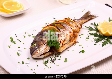 Grigliate di Orate di mare Pesce, limone, la rucola su piastra, close up Foto Stock