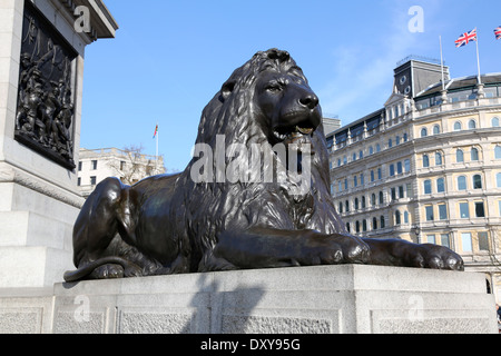 Statua di leone da Landseer al di sotto di Nelson's colonna in Trafalgar Square a Londra, Inghilterra Foto Stock