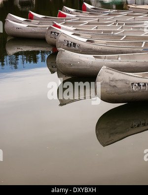 Canoe a Colter Bay Marina sul lago Jackson nel Parco Nazionale di Grand Teton. Foto Stock