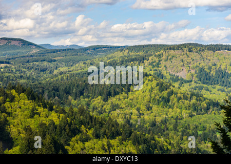 Vista da Nancy Russell Memorial Lookout in corrispondenza del bordo del Capo Horn. Foto Stock