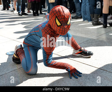 L'Amazing Spider-Man 2: luogo di Electro' conferenza stampa, Mar 31, 2014 :  Tokyo, Giappone : ragazzo giapponese in una Spider-man costume pone per la  fotocamera prima della conferenza stampa per 'The Amazing