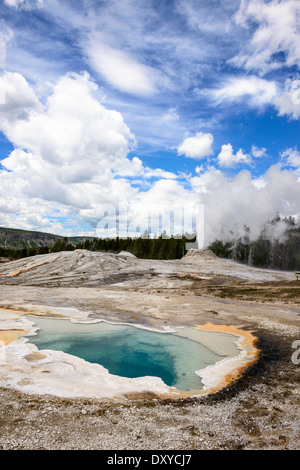 Molla di cuore a Yellowstone's Upper Geyser Basin con il Lion Geyser gruppo scoppierà in background. Foto Stock