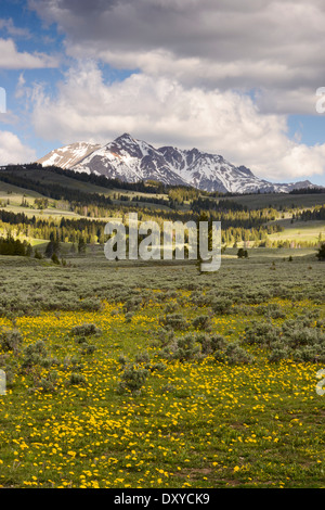 Picco elettrico nel sud Montana come visto dal Parco Nazionale di Yellowstone. Foto Stock