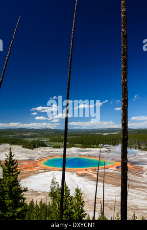 Grand Prismatic Spring come visto da sopra. Parte di Midway Geyser Basin nel Parco Nazionale di Yellowstone. Foto Stock