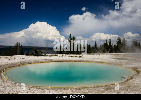 Imbuto blu molla è una primavera calda situato nel gruppo inferiore del West Thumb bacino sulle sponde del Lago Yellowstone. Foto Stock