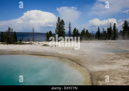 Imbuto blu molla è una primavera calda situato nel gruppo inferiore del West Thumb bacino sulle sponde del Lago Yellowstone. Foto Stock