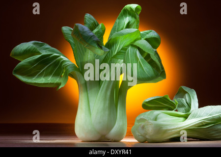 Cavolo cinese, pak Chol o pak choi è un cavolo cinese di una varietà di smooth-orlato di foglie di rastremazione. Foto Stock