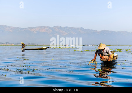 Pescatore sul Lago Inle, Nyaung Shwe, Myanmar, Asia Foto Stock