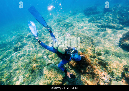 Subacqueo ad esplorare il reef, Mare Adriatico, Dalmazia, Croazia Foto Stock