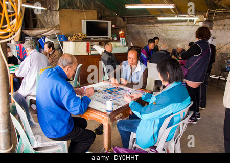 Per Tau villaggio Wan Sha Tin Nuovi Territori di Hong Kong persone giocare Mahjong in un cafe Foto Stock